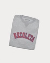 SUDADERA GRIS RECOLETA